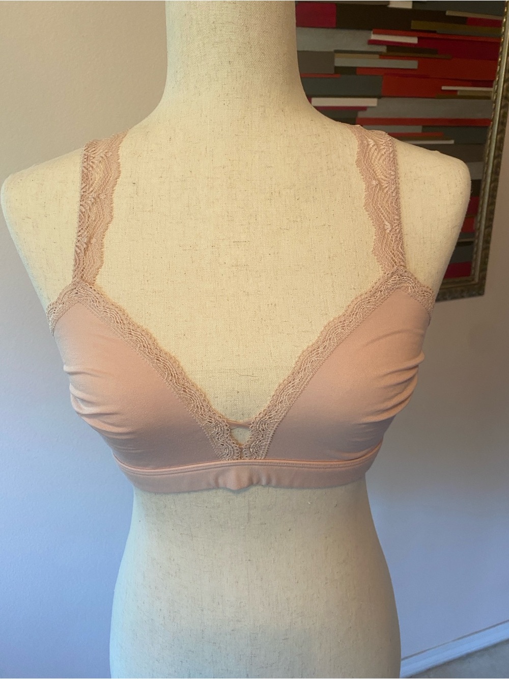 Soft Lace Trim Wireless Bralette in Blush